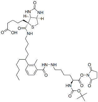 2,5-二氧代-1-吡咯烷基N<sup>2</sup>-{[(2-甲基-2-丙基)氧基]羰基}-N<sup>6</sup>-[6-({5-[(4S)-2-氧代六氫-1H-噻吩并[3,4-d]咪唑-4-基]戊酰}氨基)己酰]-L-賴氨酸酯結(jié)構(gòu)式_102910-27-0結(jié)構(gòu)式