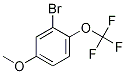 3-Bromo-4-trifluoromethoxyanisole Structure,1049730-91-7Structure