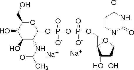 尿苷-5′-二磷酸-N-乙酰基-半乳糖胺二鈉鹽結(jié)構(gòu)式_108320-87-2結(jié)構(gòu)式