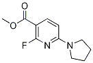 Methyl 2-fluoro-6-(pyrrolidin-1-yl)nicotinate Structure,1228666-19-0Structure