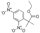 Ethyl 2-(2,4-dinitrophenyl)-2-methylpropanoate Structure,1256633-16-5Structure