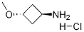 Trans-3-methoxycyclobutanamine hydrochloride Structure,1363381-00-3Structure