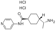 (+)-Trans-4-[1(r)-aminoethyl]-n-(4-pyridyl)cyclohexane-1-carboxamide Structure,146986-50-7Structure