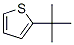 2-T-butylthiophene Structure,1689-78-7Structure