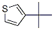 3-Tert-butylthiophene Structure,1689-79-8Structure