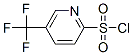 5-(Trifluoromethyl)pyridine-2-sulfonyl chloride Structure,174485-72-4Structure