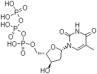 Deoxythymidine triphosphate Structure,18423-43-3Structure