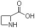 DL-Azetidine-2-carboxylic acid Structure,20063-89-2Structure