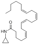 (5Z,8z,11z,14z)-n-cyclopropyl-5,8,11,14-icosatetraenamide Structure,229021-64-1Structure