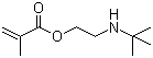 2-(Tert-butylamino)ethyl methacrylate Structure,3775-90-4Structure