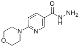 6-Morpholinonicotinohydrazide Structure,388088-71-9Structure