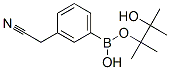 3-(Cyanomethyl)benzeneboronic acid pinacol ester Structure,396131-82-1Structure