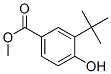 3-Tert-butyl-4-hydroxybenzoic acid methyl ester Structure,39778-63-7Structure