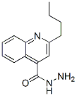 4-Quinolinecarboxylicacid,2-butyl-,hydrazide(9ci) Structure,402603-08-1Structure