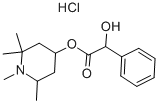 Eucatropine Hydrochloride Structure,536-93-6Structure