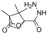 2-Oxabicyclo[2.2.1]heptane-1-carboxylicacid,4,7,7-trimethyl-3-oxo-,hydrazide(9ci) Structure,539858-02-1Structure