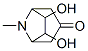 6,7-Dihydroxy-8-methyl-8-azabicyclo[3.2.1]octan-3-one Structure,54725-52-9Structure