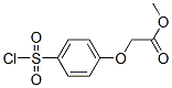 Acetic acid, 2-[4-(chlorosulfonyl)phenoxy]-, methyl ester Structure,56077-78-2Structure