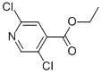 Ethyl 2,5-dichloroisonicotinate Structure,603122-76-5Structure