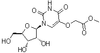 尿苷-5-氧基乙酸甲酯結構式_66536-81-0結構式