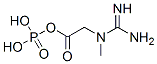 N-(Phosphonoamidino)-sarcosine Structure,67-07-2Structure