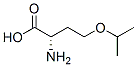 L-homoserine, o-(1-methylethyl)-(9ci) Structure,685842-10-8Structure