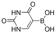 2,4-二羥基-5-嘧啶硼酸結(jié)構(gòu)式_70523-22-7結(jié)構(gòu)式