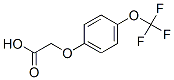 4-(tRifluoromethoxy)phenoxyacetic acid Structure,72220-50-9Structure