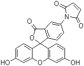 Fluorescein-5-maleimide Structure,75350-46-8Structure