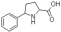 5-苯基脯氨酸結(jié)構(gòu)式_78800-52-9結(jié)構(gòu)式