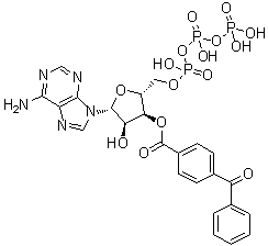 Bzatp Structure,81790-82-1Structure