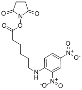 N-Succinimidyl N-(2,4-dinitrophenyl)-6-aminocaproate Structure,82321-04-8Structure