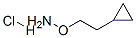 2-Cyclopropyl ethoxyamine hydrochloride Structure,854382-74-4Structure