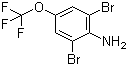 2,6-Dibromo-4-(trifluoromethoxy)aniline Structure,88149-49-9Structure