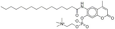 6-Hexadecanoylamino-4-methylumbelliferyl phosphorylcholine Structure,904315-61-3Structure