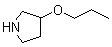 3-Propoxypyrrolidine Structure,946681-61-4Structure