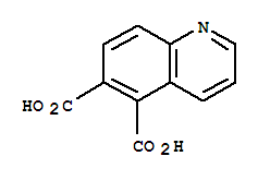 5,6-Quinolinedicarboxylic acid Structure,855764-12-4Structure