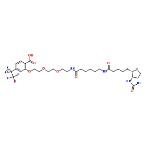 2-{[10,17-二氧代-21-(2-氧代六氫-1H-噻吩并[3,4-d]咪唑-4-基)-3,6-二氧雜-9,16-二氮雜二十一碳-1-基]氧基}-4-[3-(三氟甲基)-3H-二氮雜環(huán)丙烯-3-基]苯甲酸結(jié)構(gòu)式_207971-23-1結(jié)構(gòu)式