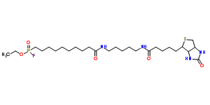 Fp-biotin Structure,259270-28-5Structure