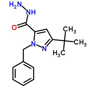 1-Benzyl-3-(tert-butyl)-1h-pyrazole-5-carbohydrazide Structure,263385-00-8Structure