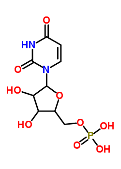 Pplyuridylic acid potassium salt Structure,28086-43-3Structure