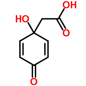 2-(1-Hydroxy-4-oxo-1-cyclohexa-2,5-dienyl)acetic acid Structure,55604-87-0Structure