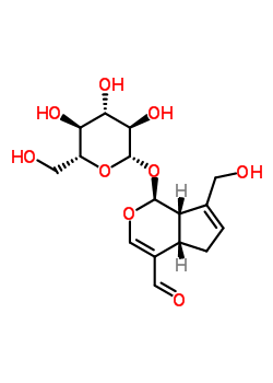 (1S)-1α-(β-D-吡喃葡萄糖氧基)-1,4aα,5,7aα-四氫-7-羥基甲基-環(huán)戊并[c]吡喃-4-甲醛結(jié)構(gòu)式_61081-59-2結(jié)構(gòu)式