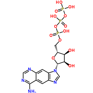 Benzo-adenosine triphosphate Structure,61925-58-4Structure