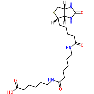 6-((6-((生物素基)氨基)己?；?氨基)己酸結(jié)構(gòu)式_89889-51-0結(jié)構(gòu)式